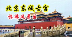 操操操操操操我网中国北京-东城古宫旅游风景区